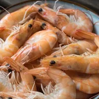 Hobotnica ispod peke